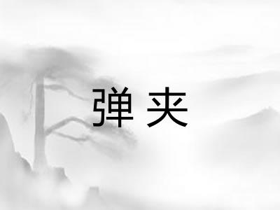弹夹
